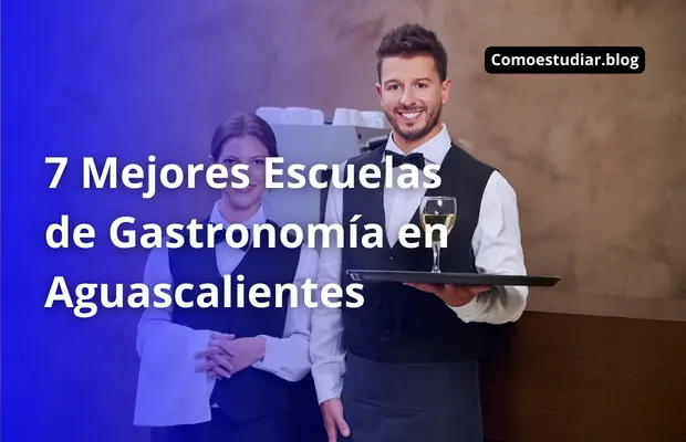 ▷ 7 Mejores【Escuelas de Gastronomía en Aguascalientes】