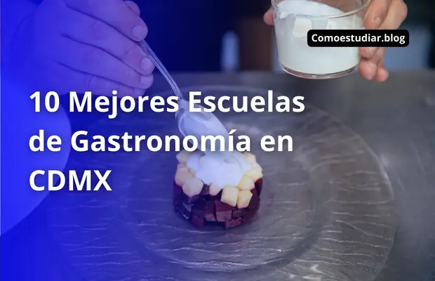 ▷ Top 10 Mejores【Escuelas de Gastronomía en CDMX】